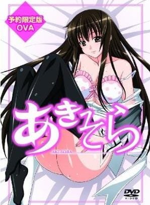 Постер Аки и Сора