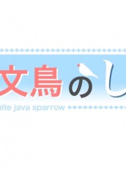 Постер Белая рисовка