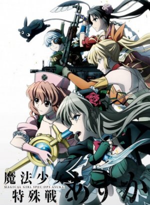 Постер Девочки-волшебницы: Специальная операция