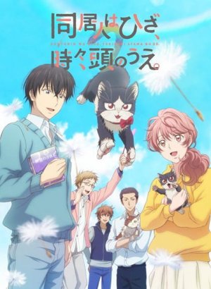 Домашний питомец, иногда сидящий на моей голове