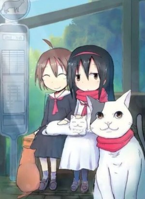 Две тысячи двухсотый год: Япония — страна кошек