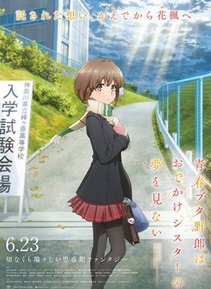 Постер Этот глупый свин не понимает мечту сестры на прогулке