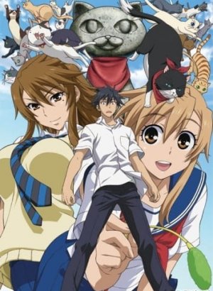 Постер Кошачьи прихоти!