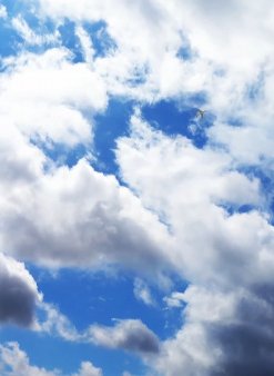 Моя возлюбленная забыла свои очки: Короткие эпизоды