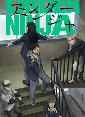 Постер Низкоквалифицированный ниндзя