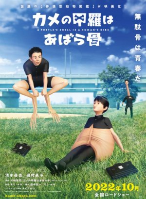 Панцирь черепахи — это рёбра человека