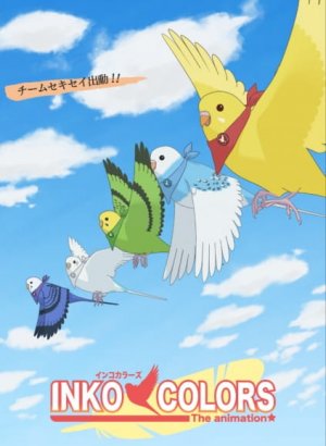 Постер Разноцветные попугаи