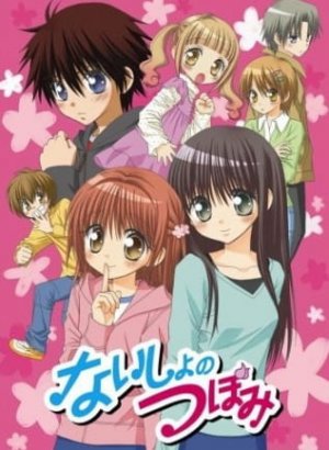 Постер Секреты Цубоми