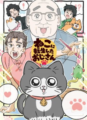 Старик, перевоплотившийся в кота