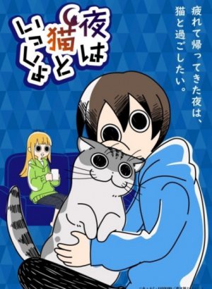 Постер Вечера с кошкой